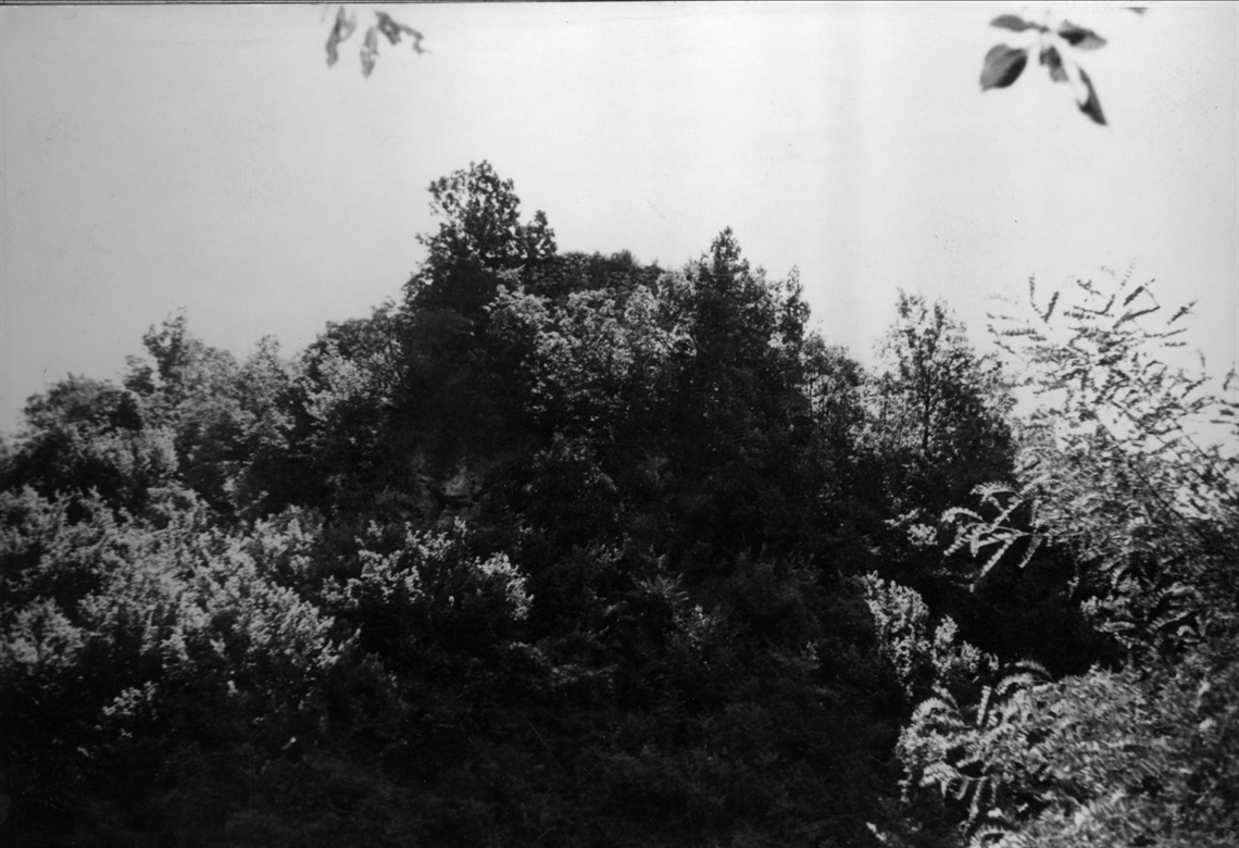Image description